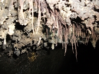 Grotta_del_Gatto - 10062012 028.jpg